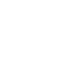 Integrity icon